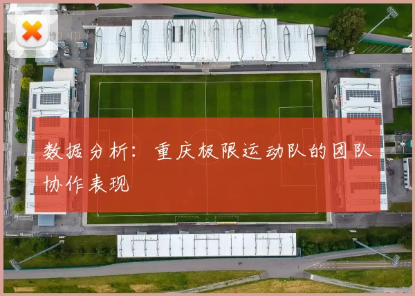 数据分析：重庆极限运动队的团队协作表现
