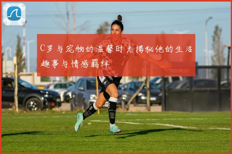 C罗与宠物的温馨时光揭秘他的生活趣事与情感羁绊