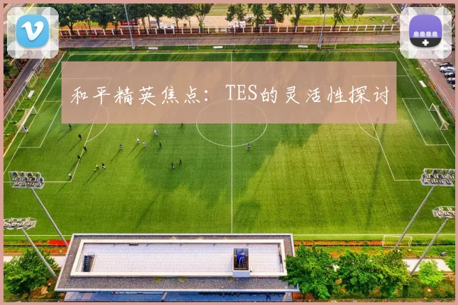 和平精英焦点：TES的灵活性探讨