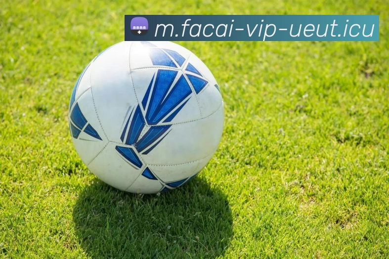 星空体育服务体系